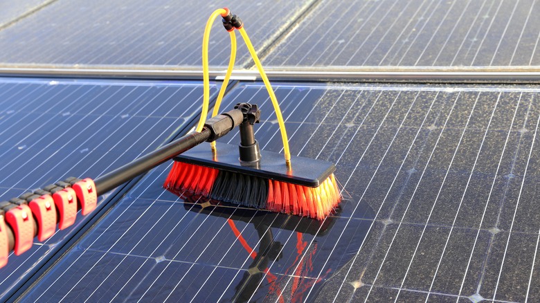 Solar panel cleaning brush