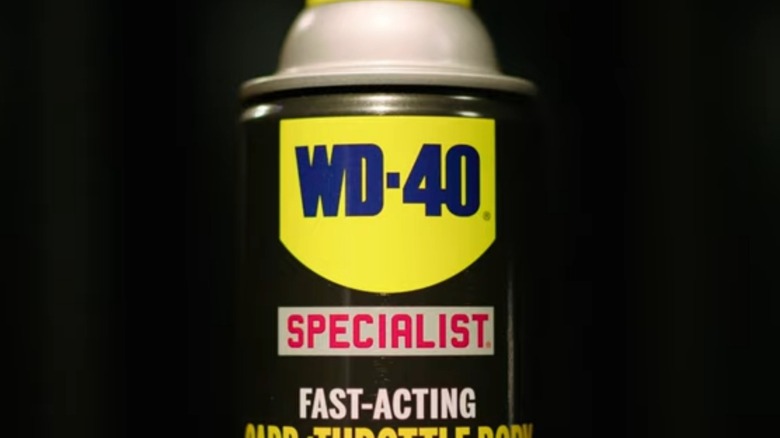 WD-40 Carb/Throttle Body Cleaner