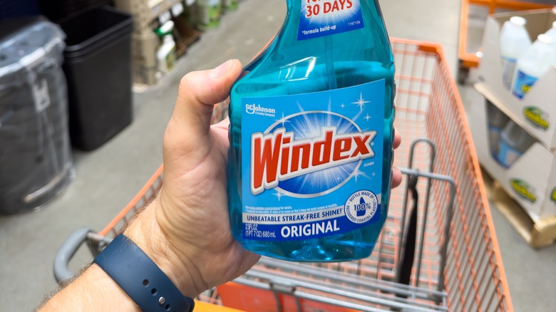 Hand holding Windex blue formulation