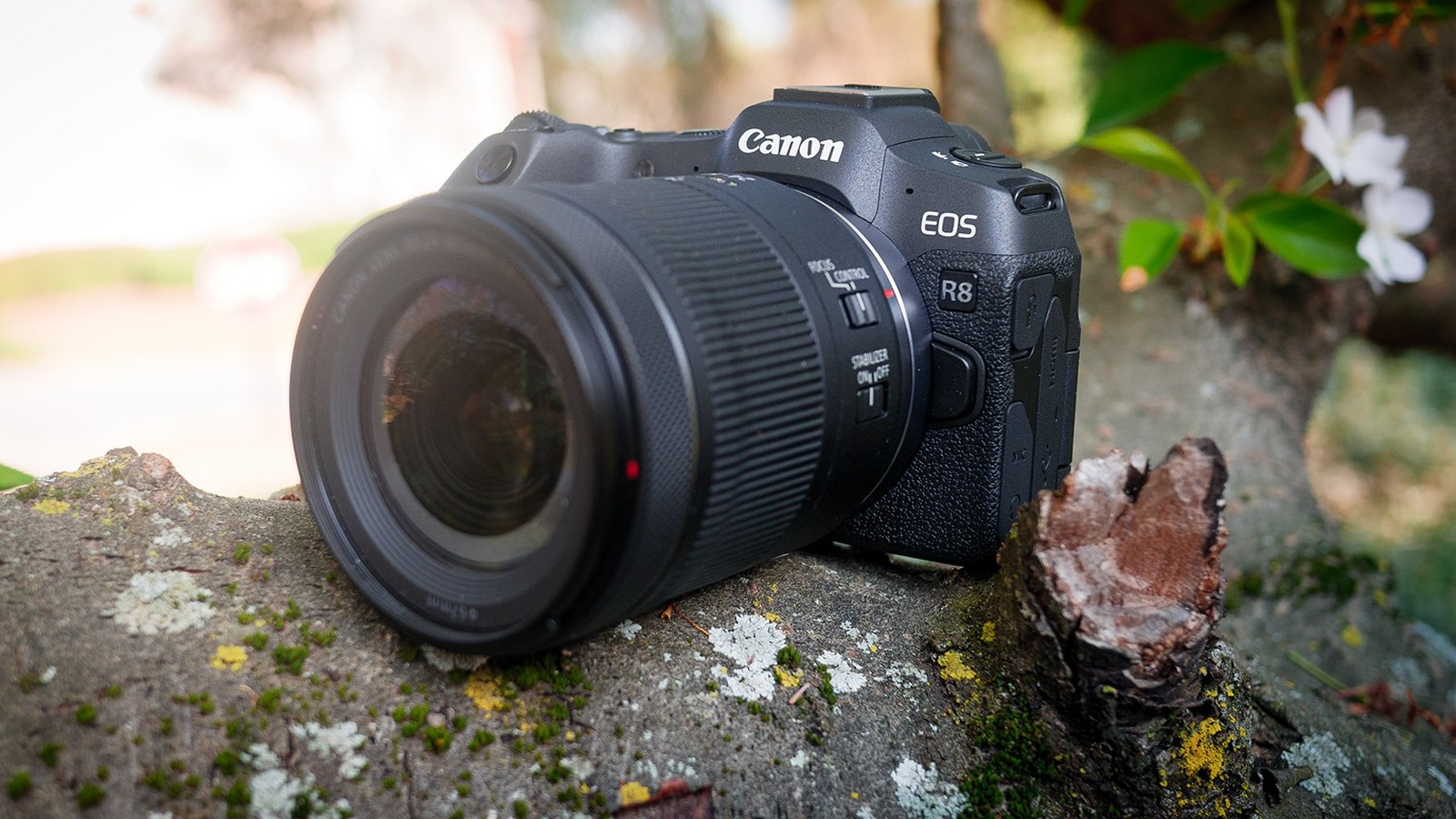 Canon EOS R8 Review 