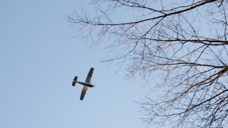 Airplane above trees