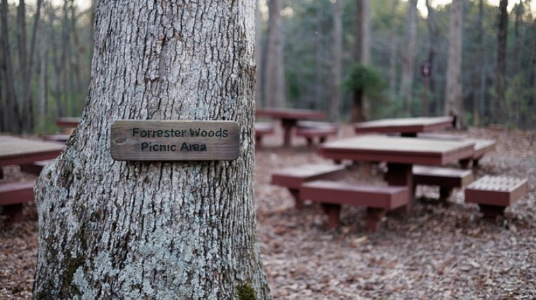 Forrester Woods Picnic Area sign on tree near benches