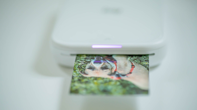 Canon IVY Photo Printer