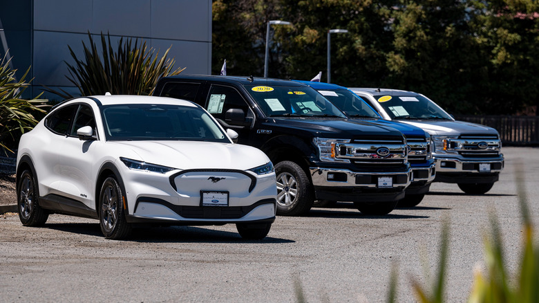 Ford cars and trucks for sale at a dealership