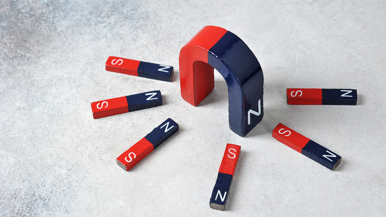 Magnets with labeled poles