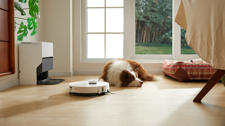 Roborock S8 MaxV Ultra with dog