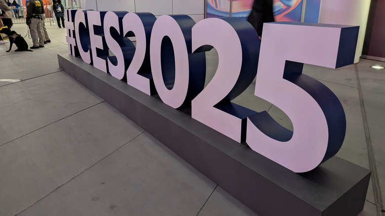 CES 2025