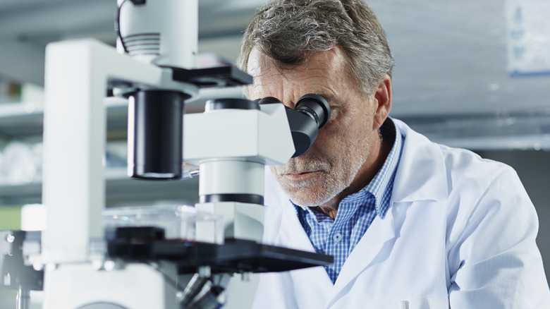 scientist looking in microscope