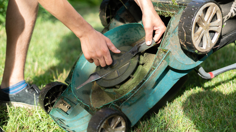 Person maintaining a lawn mower