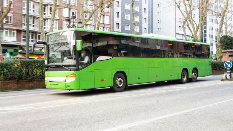 Green coach bus