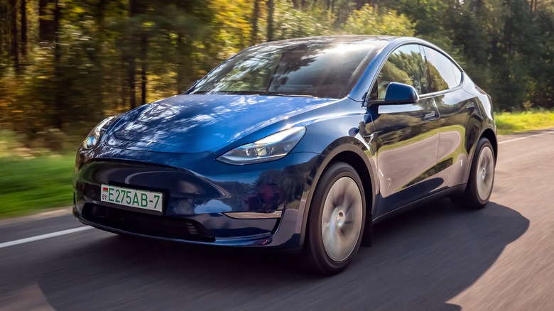 Tesla Model Y - 9.2 Common User Challenges and Feedback