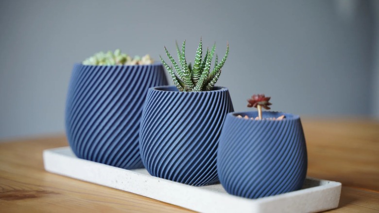 3D printed spiral plant pot