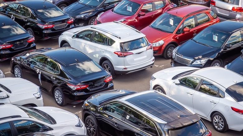 cars parked in a dealer lot