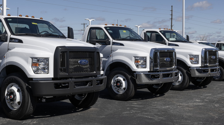 Row of Ford F-650 trucks