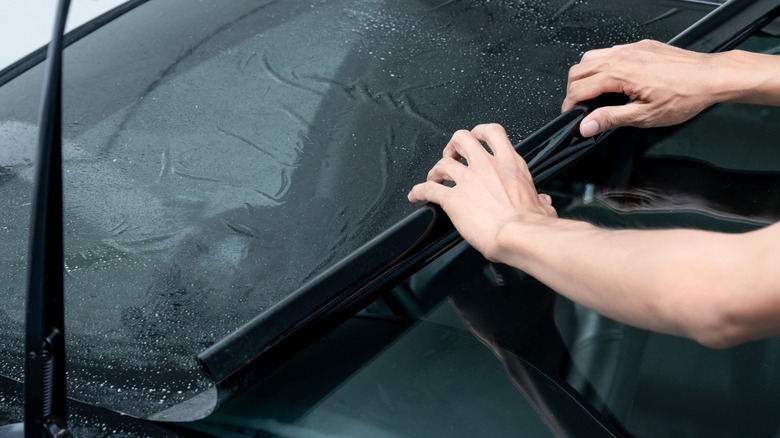 Person rolling tint car window