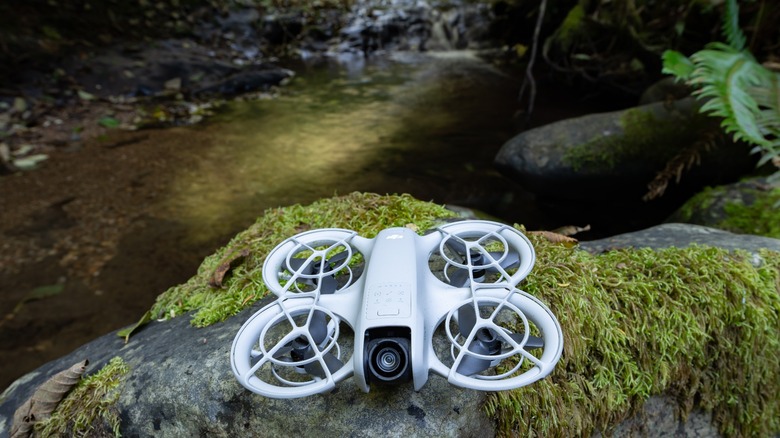 DJI Neo