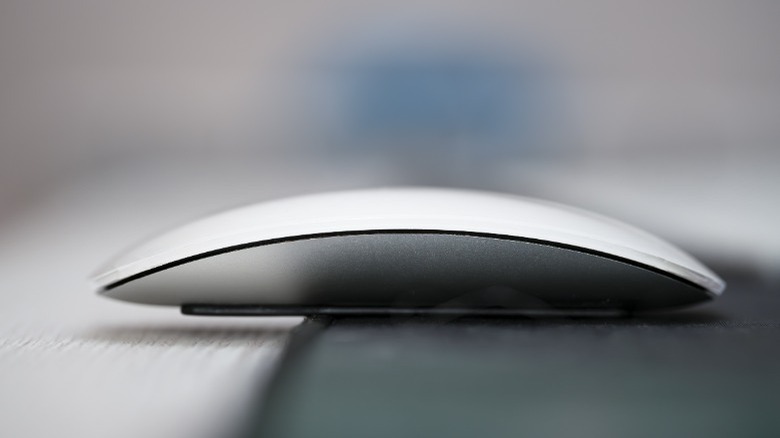 Side profile of the Magic Mouse