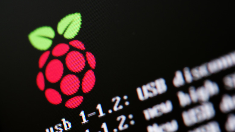 Raspberry Pi logo