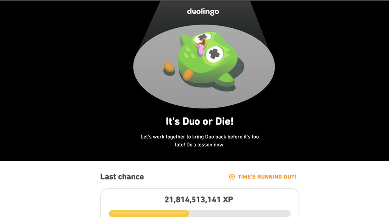 Bring back Duolingo website