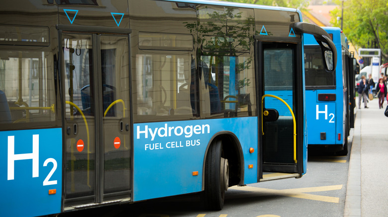 hydrogen fuel cell buses