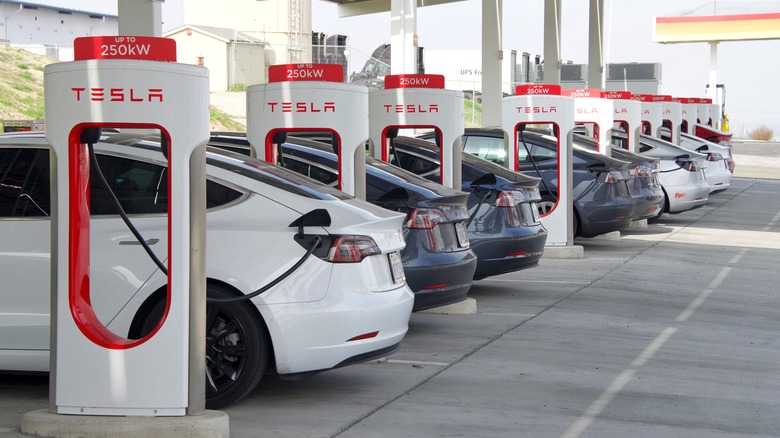 Many Teslas using Supercharger station