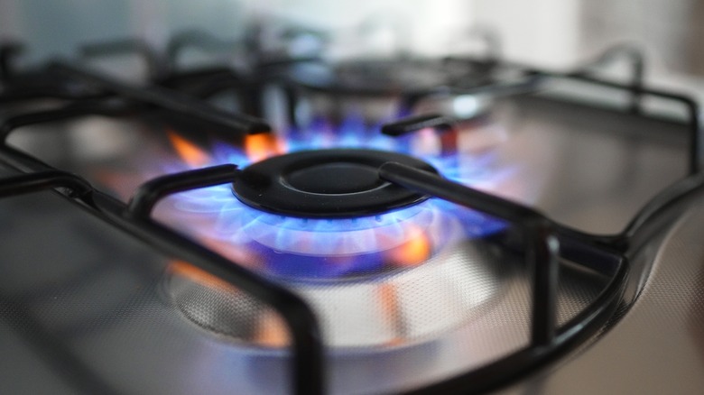 Gas vs. Electric Stoves: Which Is Best?