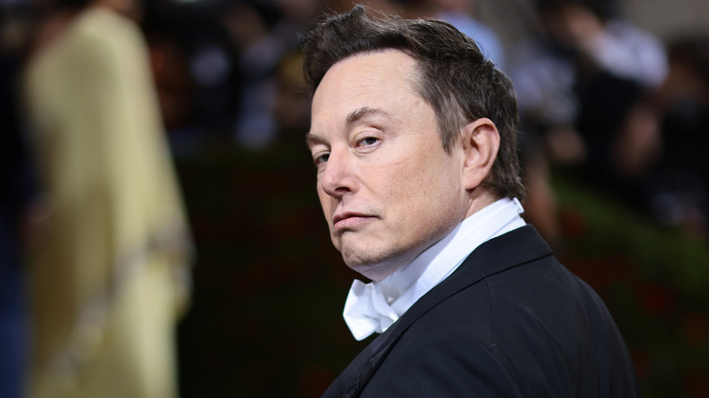 Elon Musk smug look