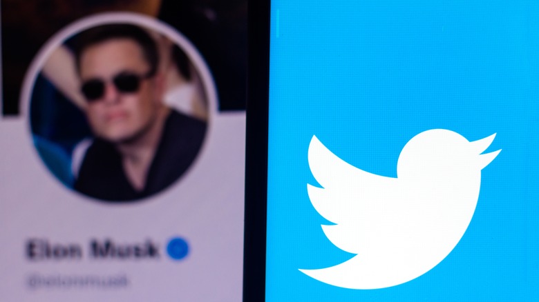 Elon Musk twitter account near Twitter logo