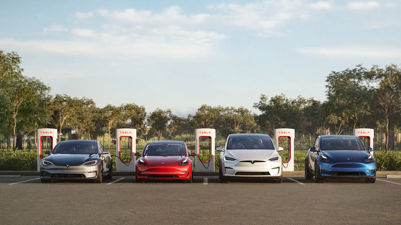 Tesla cars parked charging