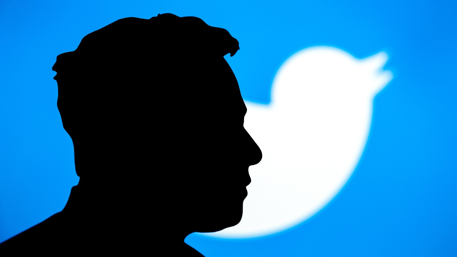 Elon Musk Wants To Rebrand Twitter: Here’s What’s Changing – SlashGear