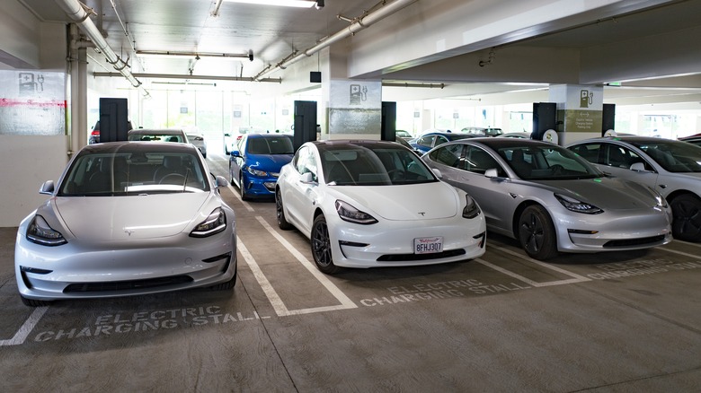 Teslas in parking garage