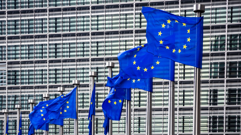 European parliament flags