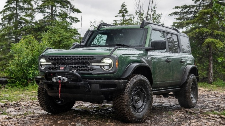 Ford Bronco Everglades parked forest