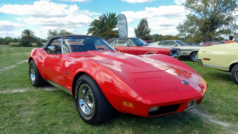 Red sport Chevrolet Corvette C3 Stingray parked on grass