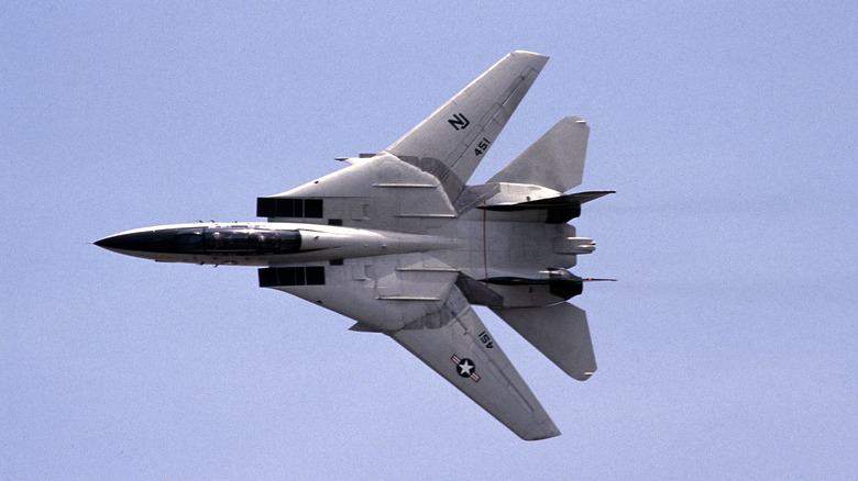 An F-14 Tomcat in flight