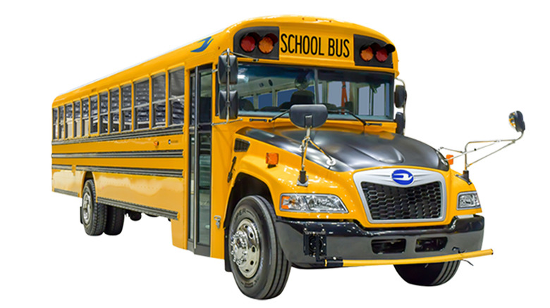 A stock image of a yellow Blue Bird school bus