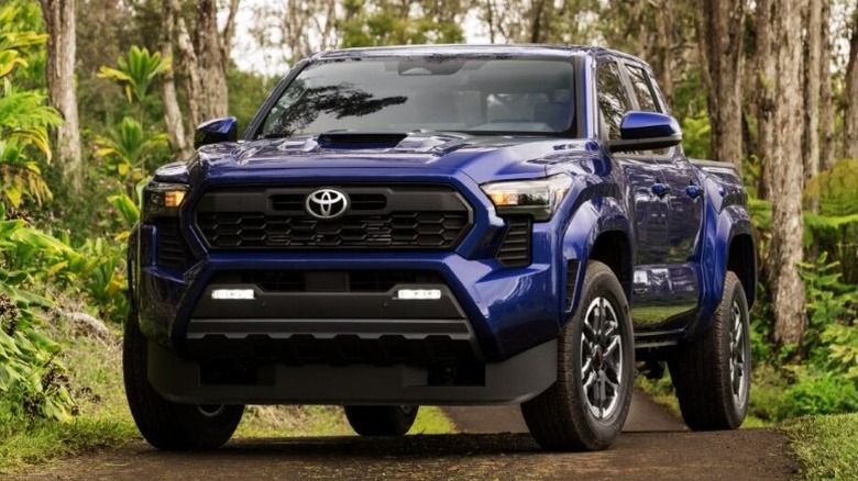 2025 Toyota Tacoma TRD Sport parked on a dirt road in a forest