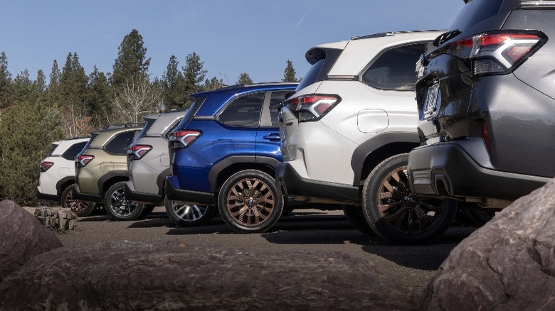 Subaru Forester models lined up rear end