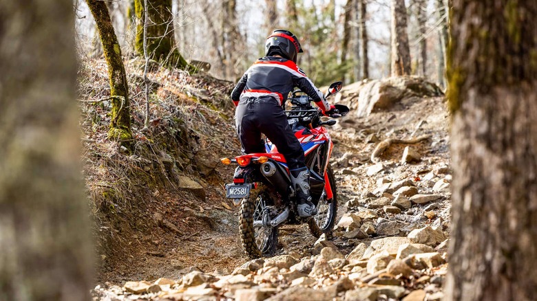 Rear view shot of a bike rider on a dirt trail