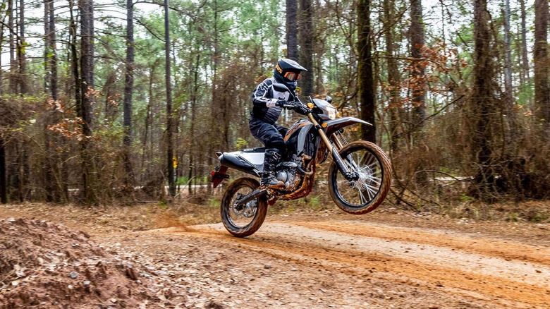 A bike rider on a dirt trail