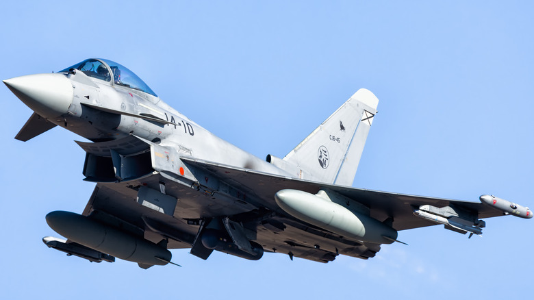 Eurofighter Typhoon flying level