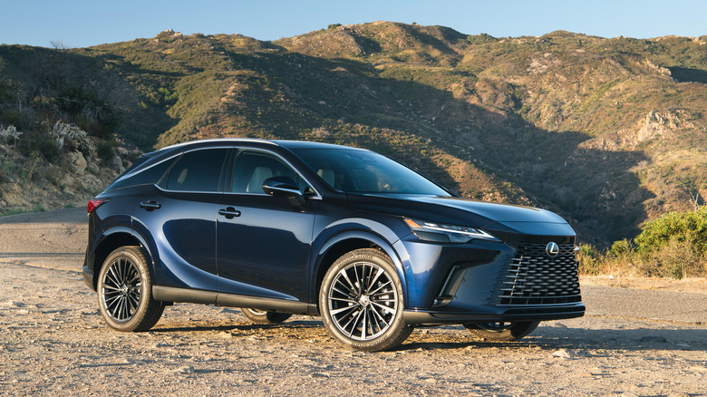 2024 Lexus RX 350 Premium parked near the road