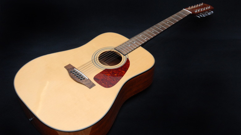 a Fender 12-string acoustic