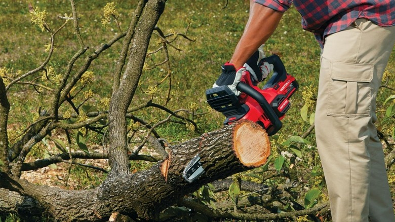 Chopping up tree branches with a Craftsman chainsaw