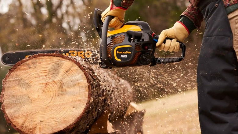 cutting log with a Poulan chainsaw