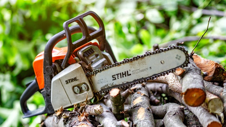 a Stihl chainsaw on pile of logs