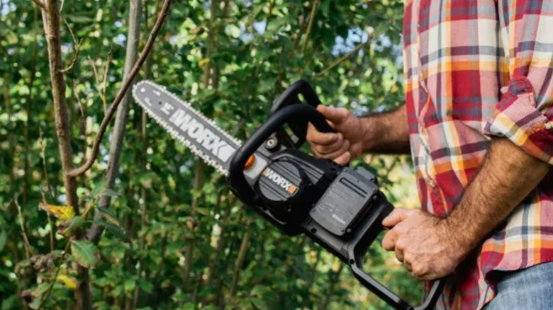 holding a Worx chainsaw