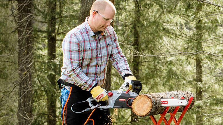 Oregon chainsaw