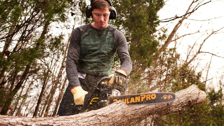 Poulan Pro chainsaw