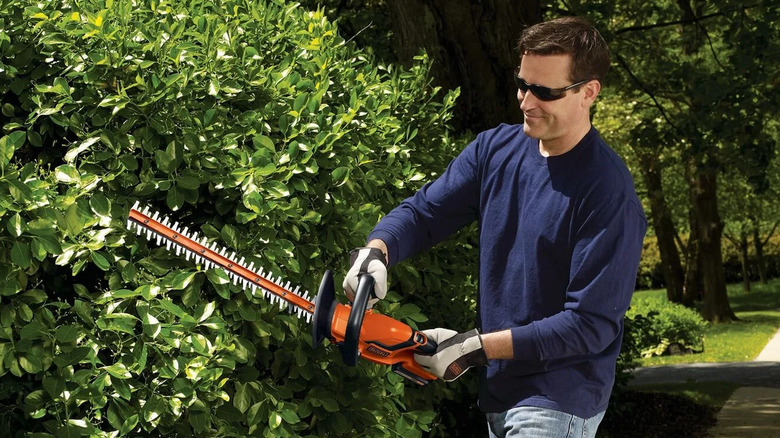 person using hedge trimmer on bushes